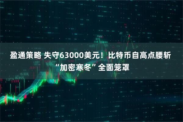 盈通策略 失守63000美元！比特币自高点腰斩 “加密寒冬”全面笼罩